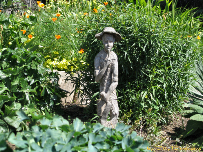 Scene of Fort Mason Public Garden.  A City Birds digital photo.