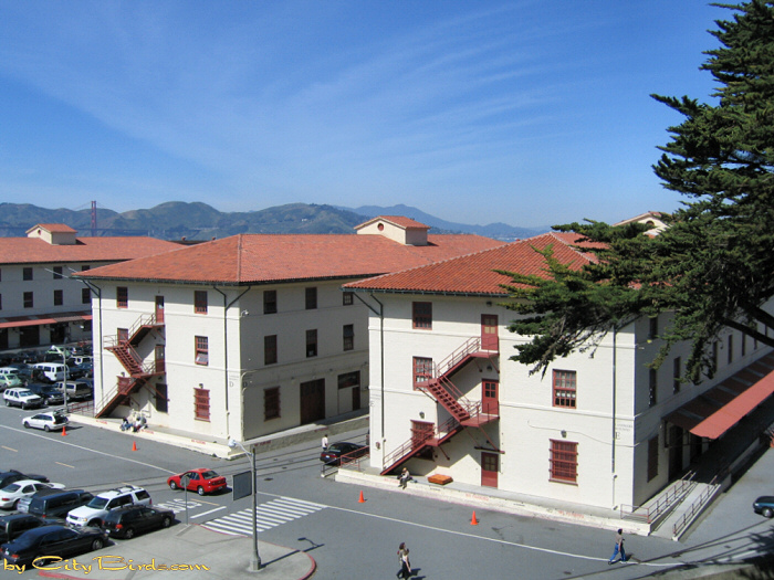 Warehouses at Fort Mason.  A City Birds digital photo.