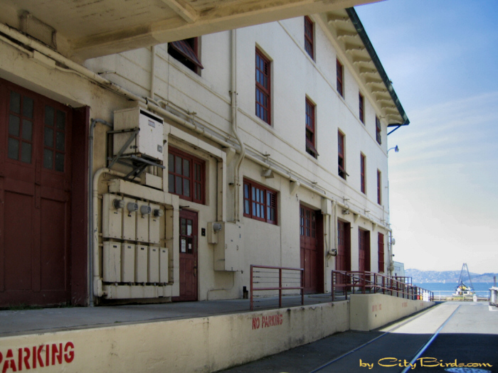 Close-up of a warehouse at Fort Mason, San Francisco.  A City Birds digital photo.