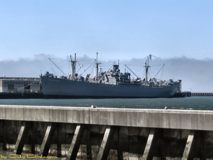 Liberty Ship SS Jeremiah O'Brien.   A City Birds digital photo.