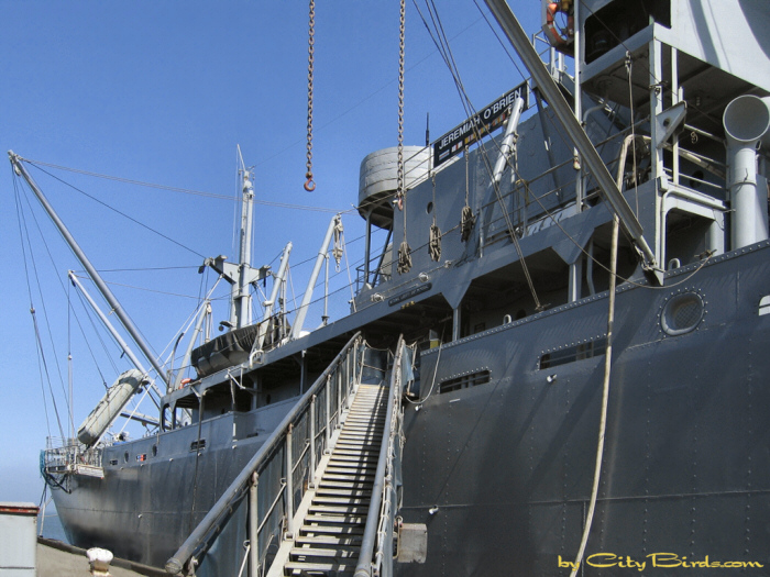 Gangway of the Liberty Ship SS Jeremiah O'Brien.   A City Birds digital photo.
