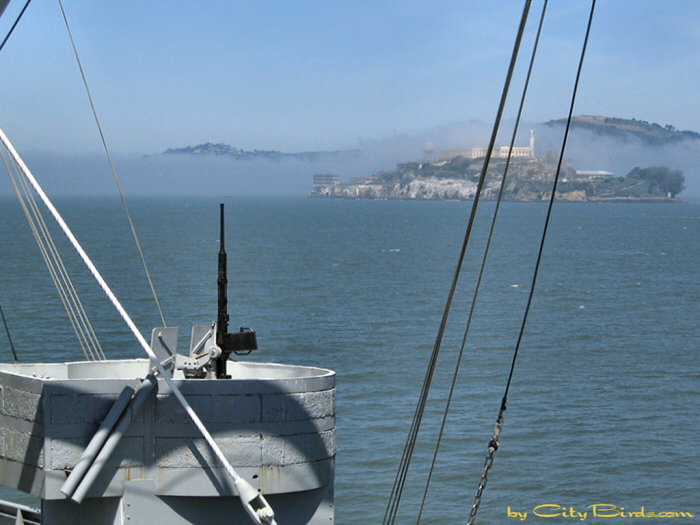 A gun aboard the SS Jeremiah O'Brien   A City Birds digital photo.