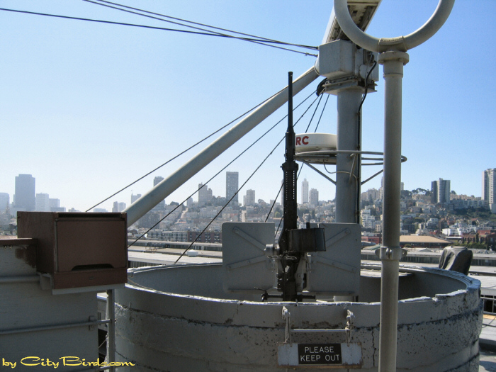 Gun aboard the SS Jeremiah O'Brien.   A City Birds digital photo.
