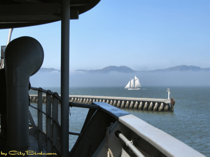 A view from the SS Jeremiah O'Brien's Port side near the Stern.   A City Birds digital photo.