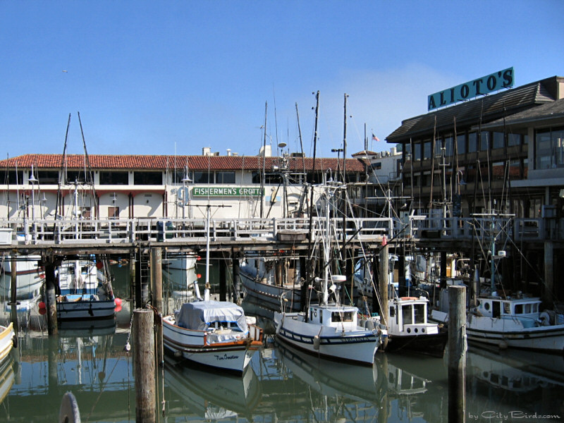 Fishermen's Wharf, San Francisco