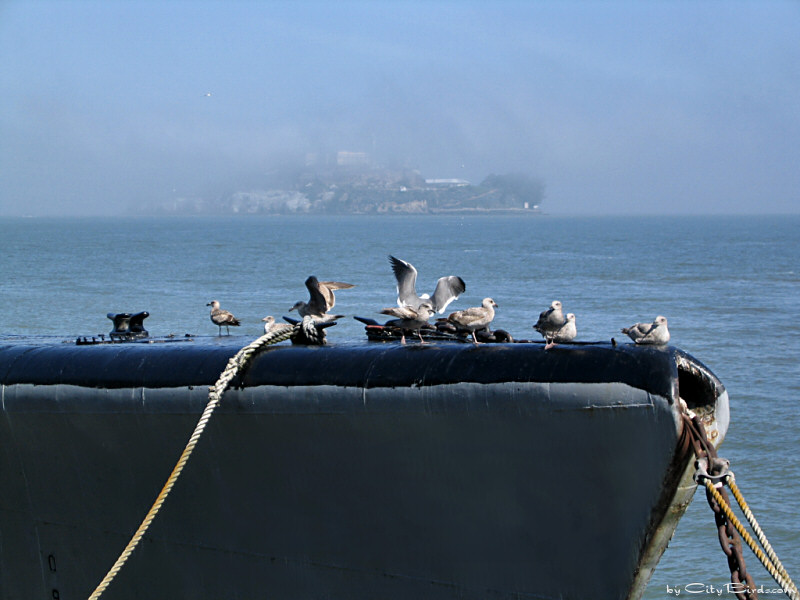 Submarine Pampanito, San Francisco