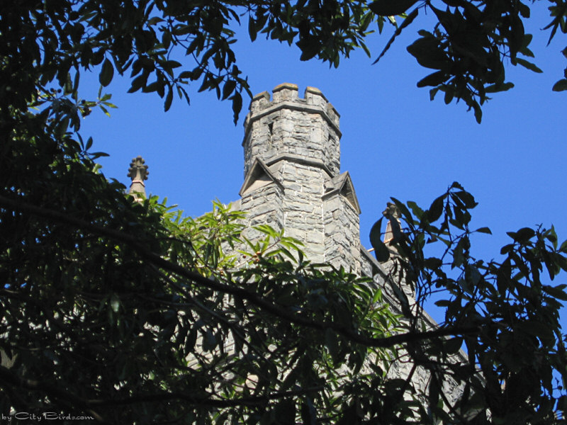 Trinity Episcopal Church, San Francisco