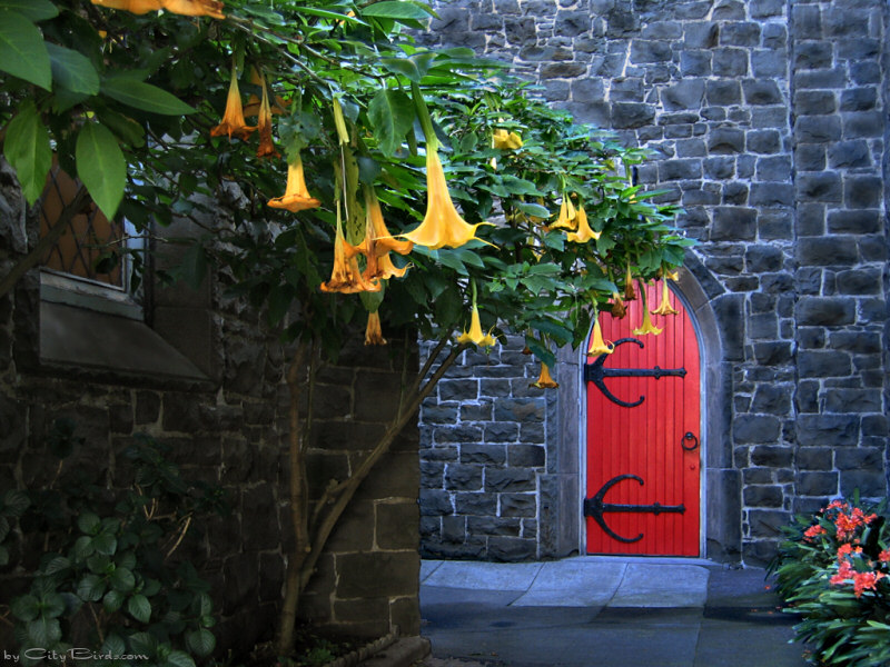Trinity Episcopal Church, San Francisco