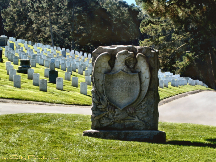 Monument to the Unknown Soldier.   A City Birds digital photo.