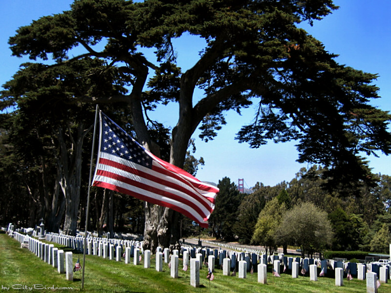 Memorial Day 2004