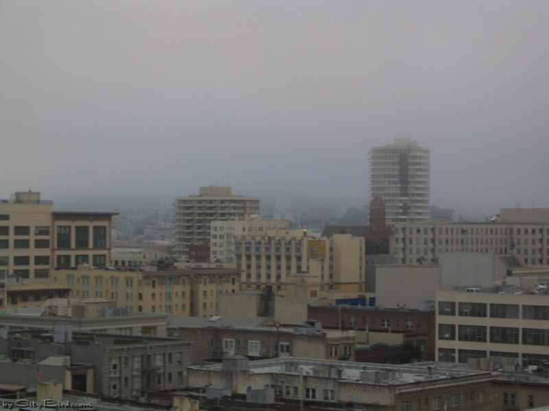 Dark San Francisco Summer Sky -- 2004