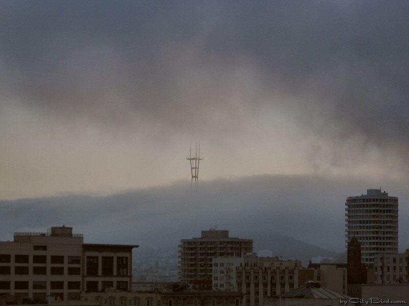 Dark San Francisco Summer sky Three -- 2004