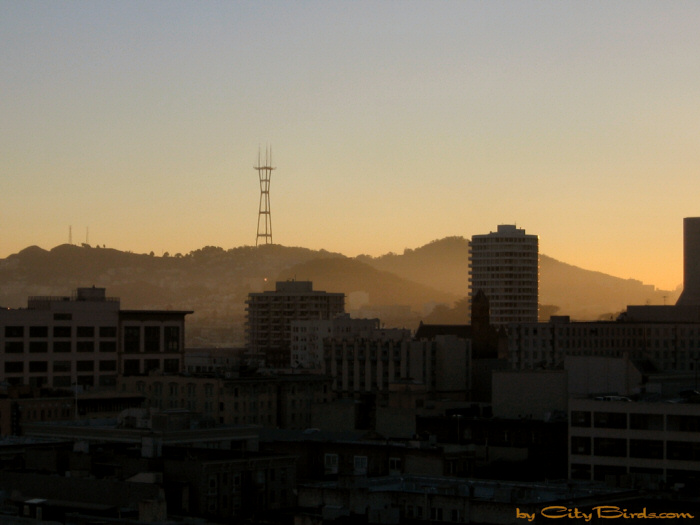 Golden Sunset Autumn 2004, View One, San Francisco.  A City Birds digital photo.