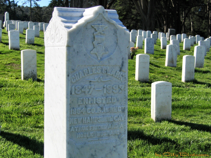 Charles Clark, Civil War Veteran.  A City Birds digital photo.