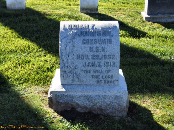 Lucian Johnson, U.S.N., Veteran.  A City Birds digital photo.