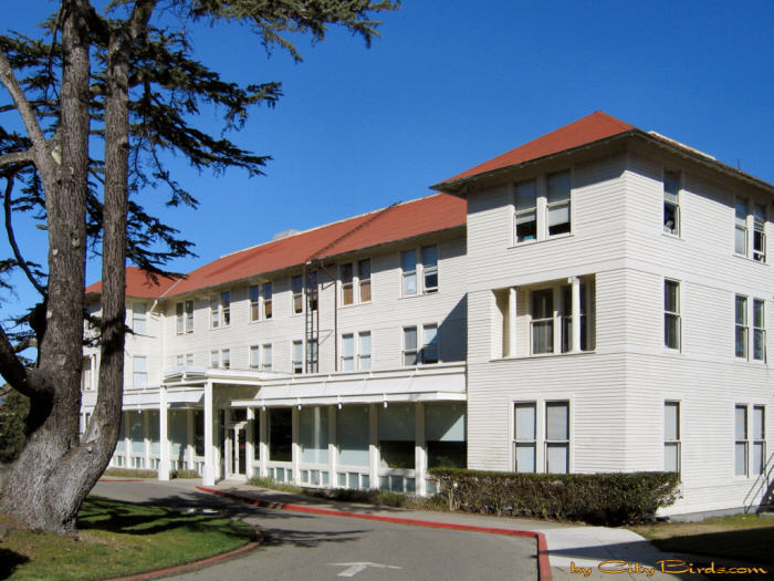 Letterman Hospital, Presidio of San Francisco.  A City Birds digital photo.