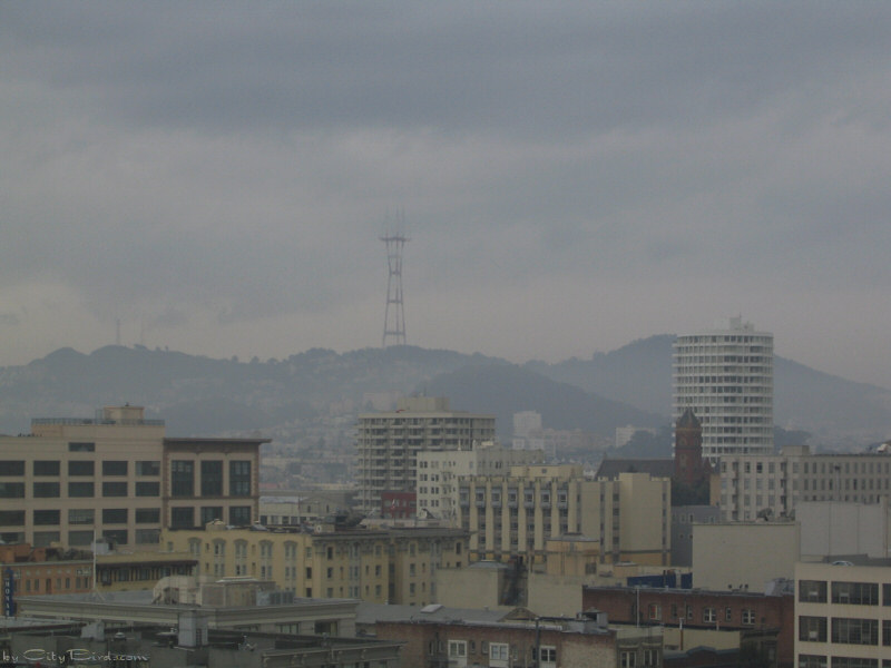 Winter Sky Over San Francisco