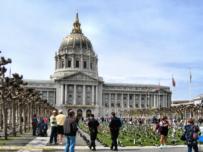 Empty Boots Iraq War Memorial, San Francisco.  A City Birds digital photo.