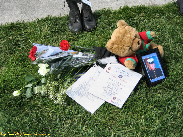 Lance Corporal Travis J. Layfield, Killed in Iraq.  A City Birds digital photo.