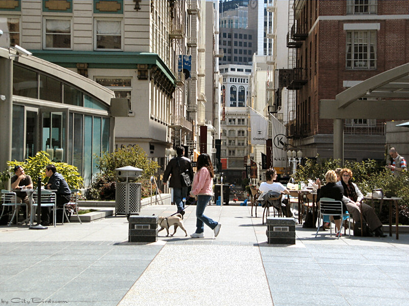 Enjoying Union Square, San Francisco