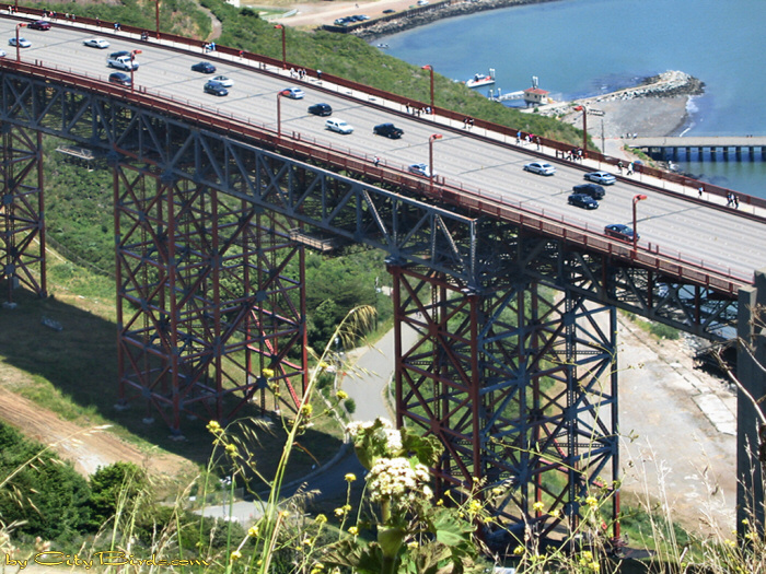 Bike Paths Winding Under the Golden Gate Bridge.  A City Birds digital photo.