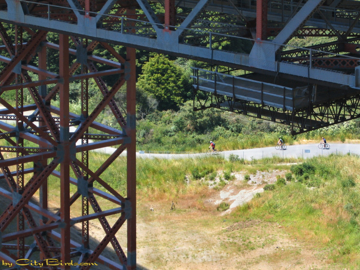 Bikers Enjoying Paths at the Golden Gate Bridge.  A City Birds digital photo.