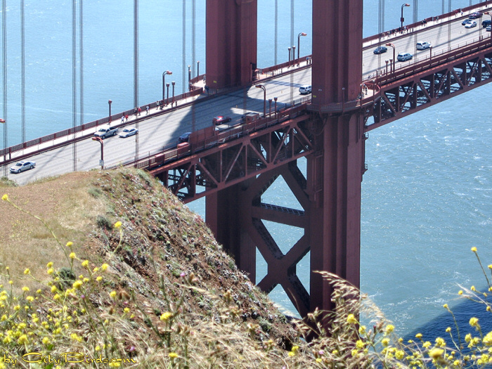 North Tower of the Golden Gate Bridge.  A City Birds digital photo.