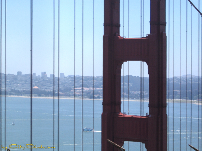 San Francisco Through the Golden Gate Bridge.  A City Birds digital photo.