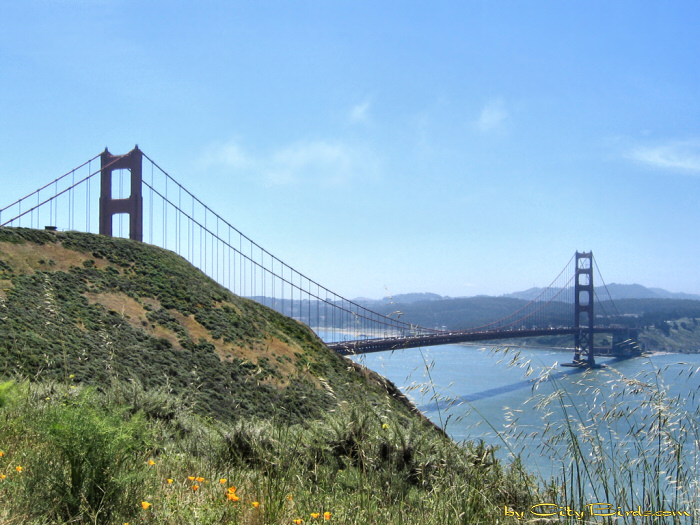 The Golden Gate Bridge From the Marin Headlands.  A City Birds digital photo.