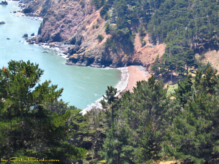 A Secluded Beach at the Marin Headlands.  A City Birds digital photo.