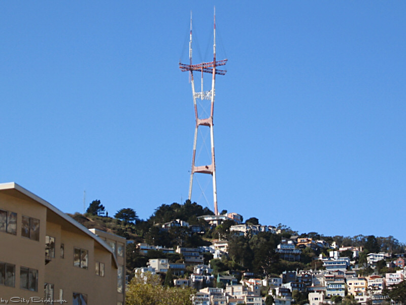 Sutro Tower, San Francisco