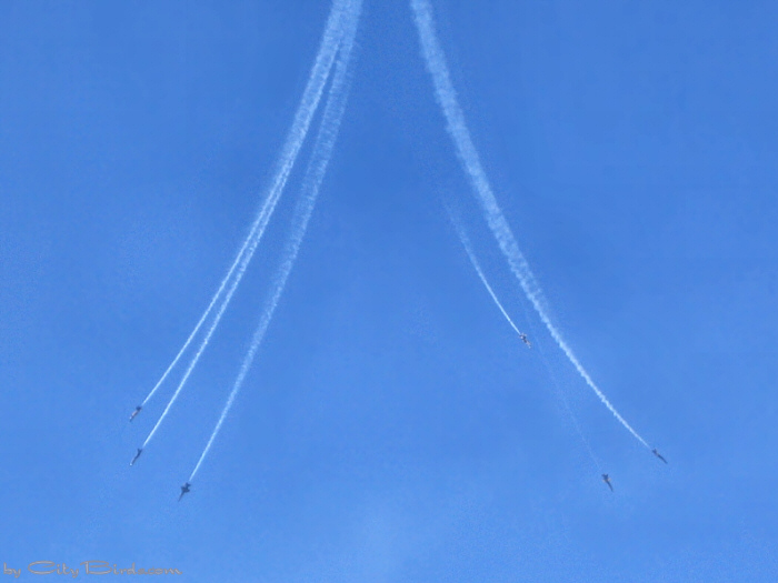 Blue Angels 2005, San Francisco.