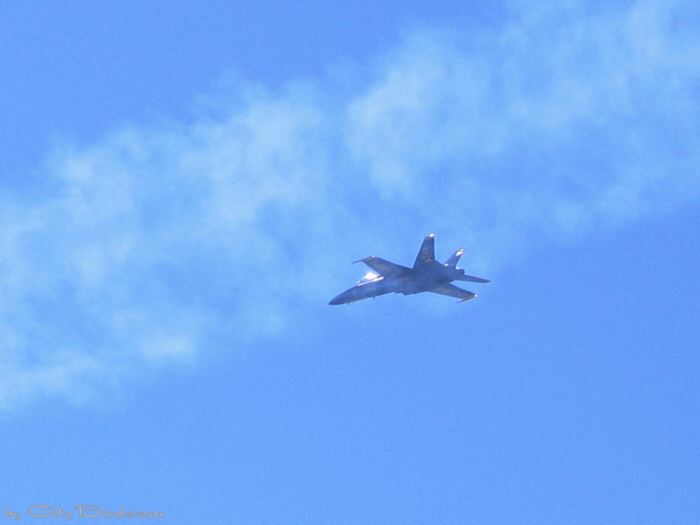 Blue Angels 2005, San Francisco.