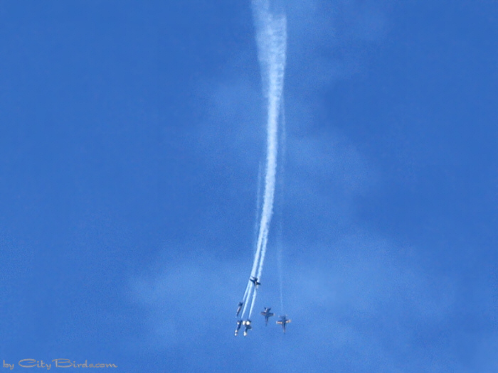 Blue Angels 2005, San Francisco.