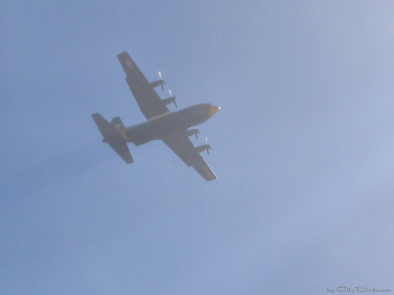 The Blue Angels' C-130 over San Francisco