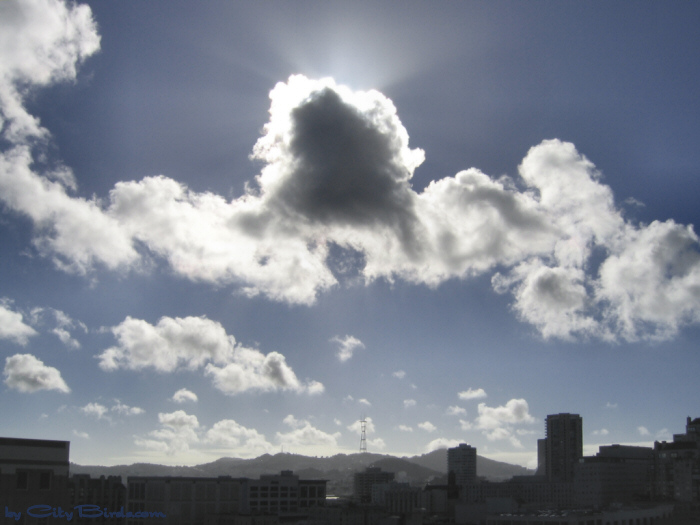 Autumn clouds over San Francisco.