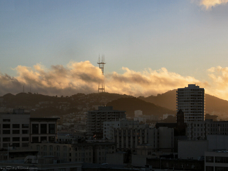 Fall Sunset, San Francisco