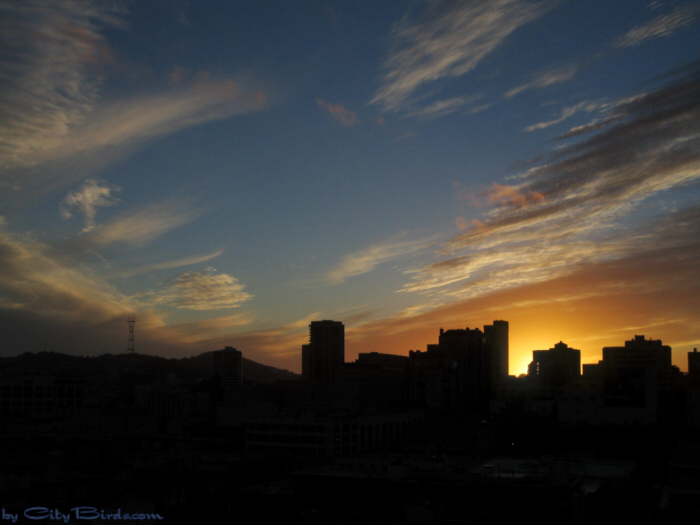 Fall Sunset, San Francisco.