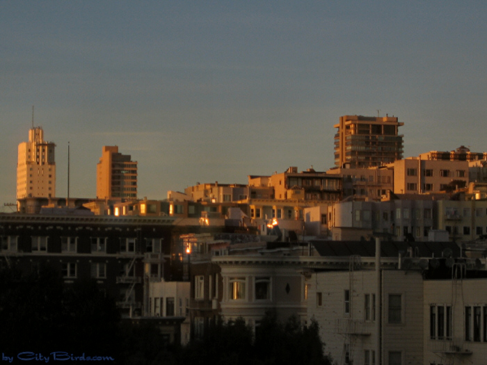 Fall Sunset, San Francisco.