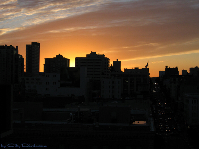 Fall Sunset, San Francisco.