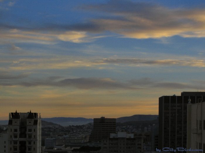 Fall Sunset, San Francisco.