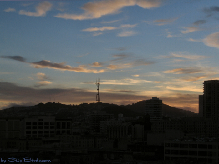 Fall Sunset, San Francisco.