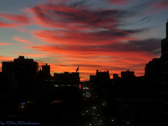Fall Sunset, San Francisco.