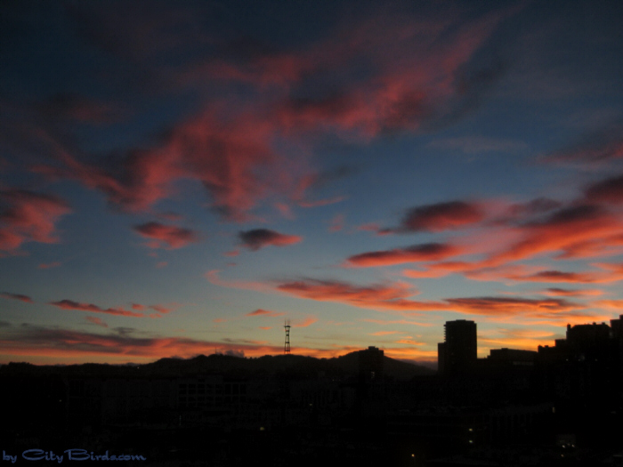 Fall Sunset, San Francisco.