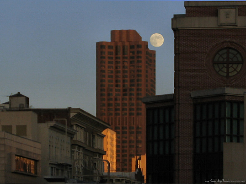 Moon at Dusk, San Francisco