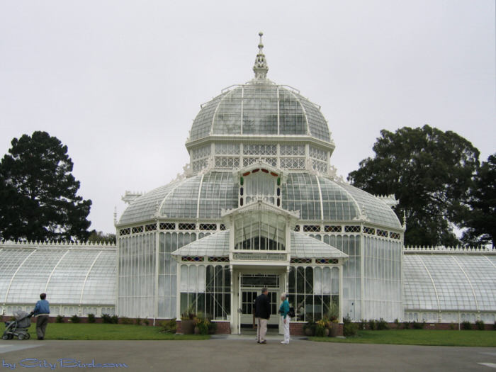 Golden Gate Park Conservatory of Flowers, San Francisco.