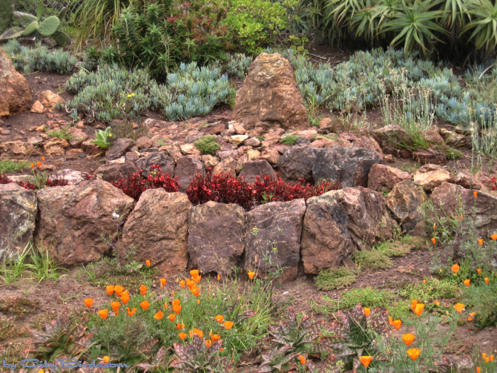 Golden Gate Park Conservatory of Flowers, San Francisco.