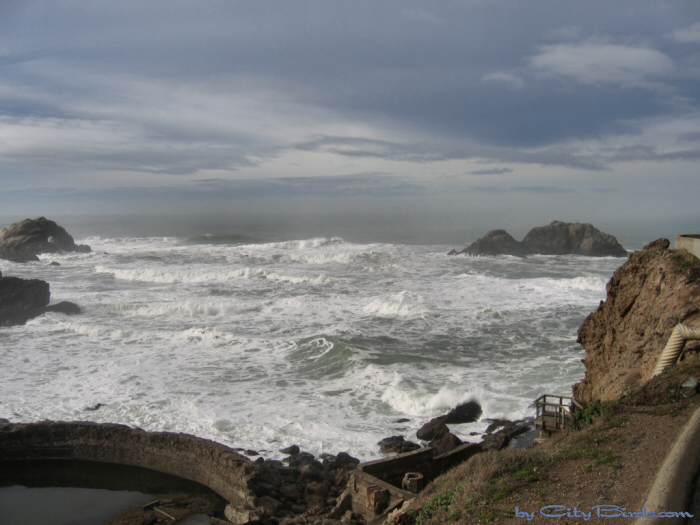 Winter Storm, San Francisco.
