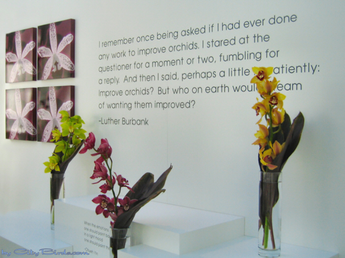 Modern Art of the Orchid Exhibit.
