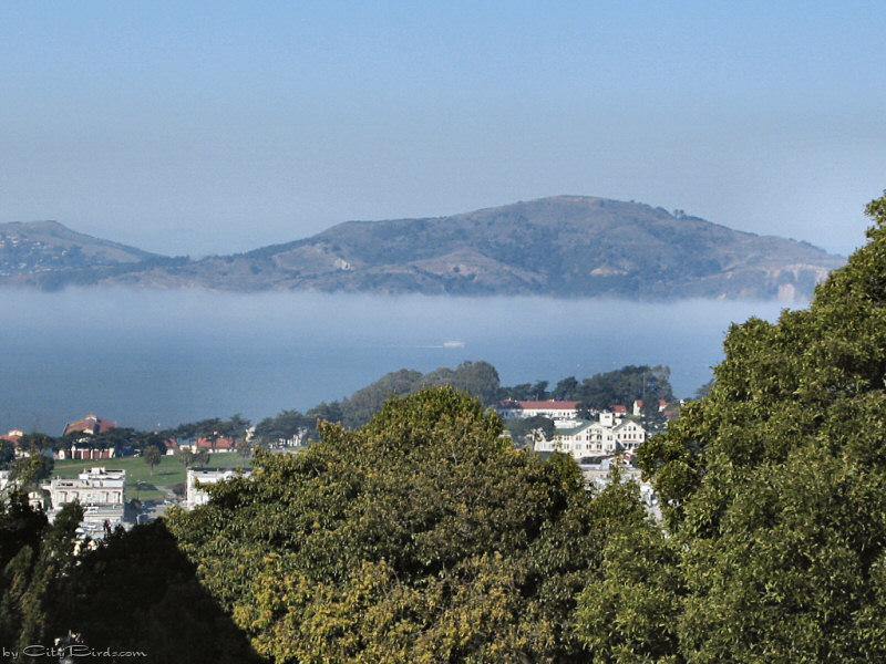 Fort Mason and San Francisco Bay